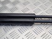 Tailgate/trunk strut/damper
