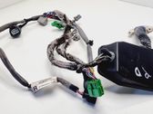 Front door wiring loom