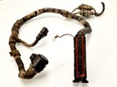 Gearbox/transmission wiring loom