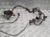 Cableado de puerta delantera