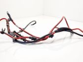 Other wiring loom