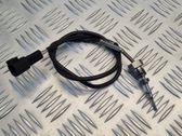 Exhaust gas temperature sensor