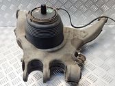 Rear upper control arm/wishbone