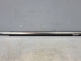 Front door glass trim molding