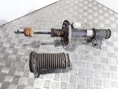 Front shock absorber/damper