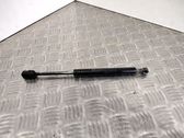 Tailgate/trunk strut/damper