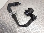 Cinturón trasero