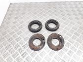 Rear coil spring rubber mount