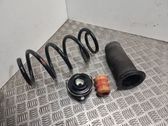 Front coil spring