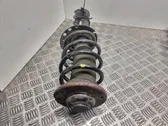 Front shock absorber with coil spring