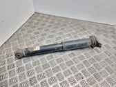 Rear shock absorber/damper