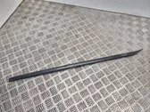 Windshield trim