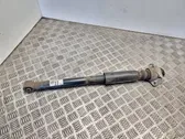 Rear shock absorber/damper