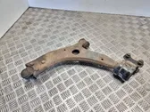 Front lower control arm/wishbone