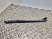 Tailgate/trunk strut/damper
