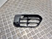 Front bumper lower grill