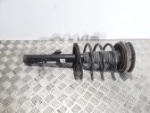 Front shock absorber with coil spring