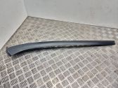 Windshield trim
