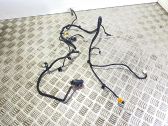 Other wiring loom