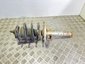 Front shock absorber with coil spring