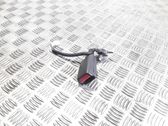 Rear seatbelt buckle