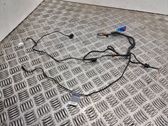 Front door wiring loom