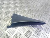 Other front door trim element