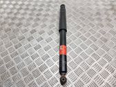 Rear shock absorber/damper