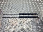 Tailgate/trunk strut/damper