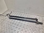 Tailgate/trunk strut/damper