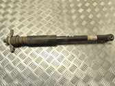 Rear shock absorber/damper