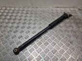 Rear shock absorber/damper