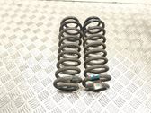 Rear coil spring