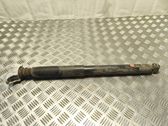 Rear shock absorber/damper