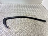 Rear door glass trim molding