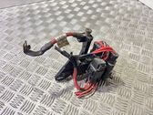 Positive wiring loom