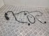 Front door wiring loom