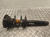 Front shock absorber with coil spring