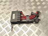 Positive wiring loom