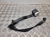 Rear seatbelt