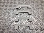A set of handles for the ceiling