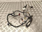 Front door wiring loom