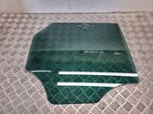 Rear door window glass