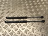 Rear window strut damper