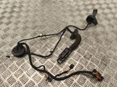 Rear door wiring loom