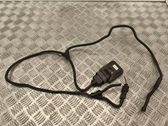 Engine control unit/module ECU