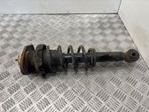 Rear shock absorber with coil spring