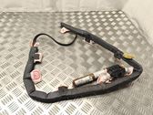 Airbag del techo