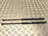 Tailgate/trunk strut/damper