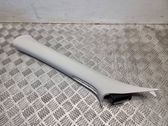 (A) pillar trim